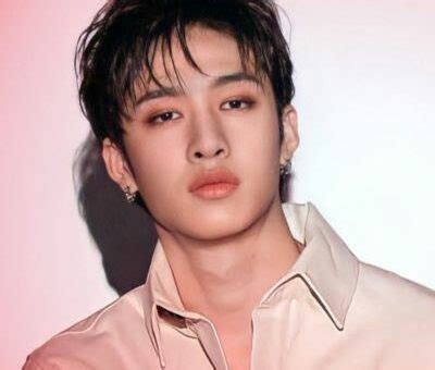 bangchan net worth|More.